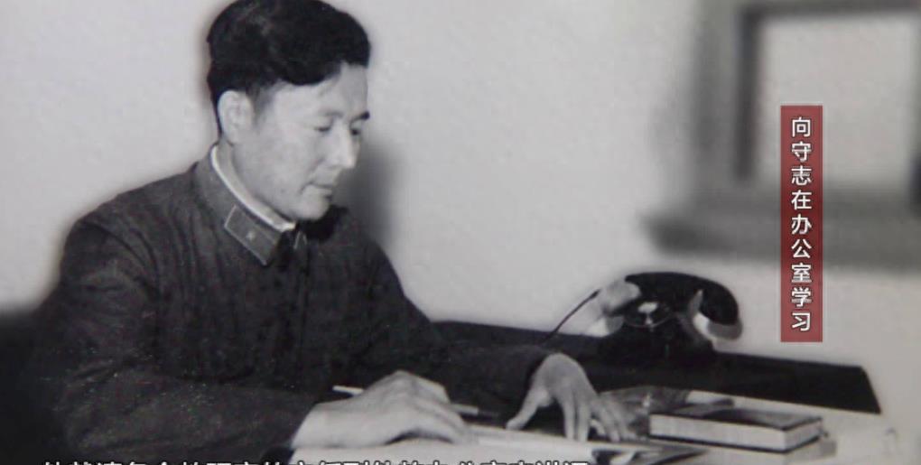 二炮部队组建历程及其深远影响,二炮部队组建历程与深远影响探究