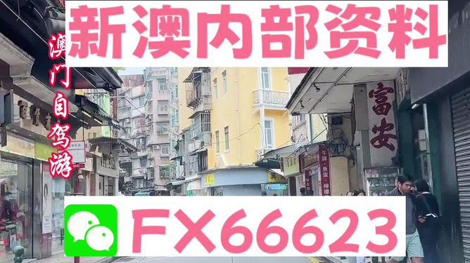 新澳精准资料免费提供，探索第221期的奥秘与价值，新澳精准资料揭秘第221期奥秘与价值