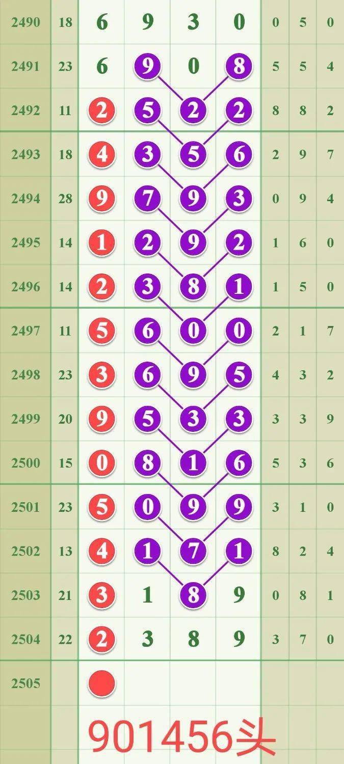 王中王678一肖三码，揭秘背后的神秘与真相，揭秘王中王678一肖三码背后的真相与神秘面纱