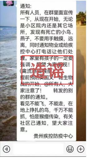 最新消息猴痘，全球疫情现状与应对策略，全球猴痘疫情最新消息，现状揭秘与应对策略