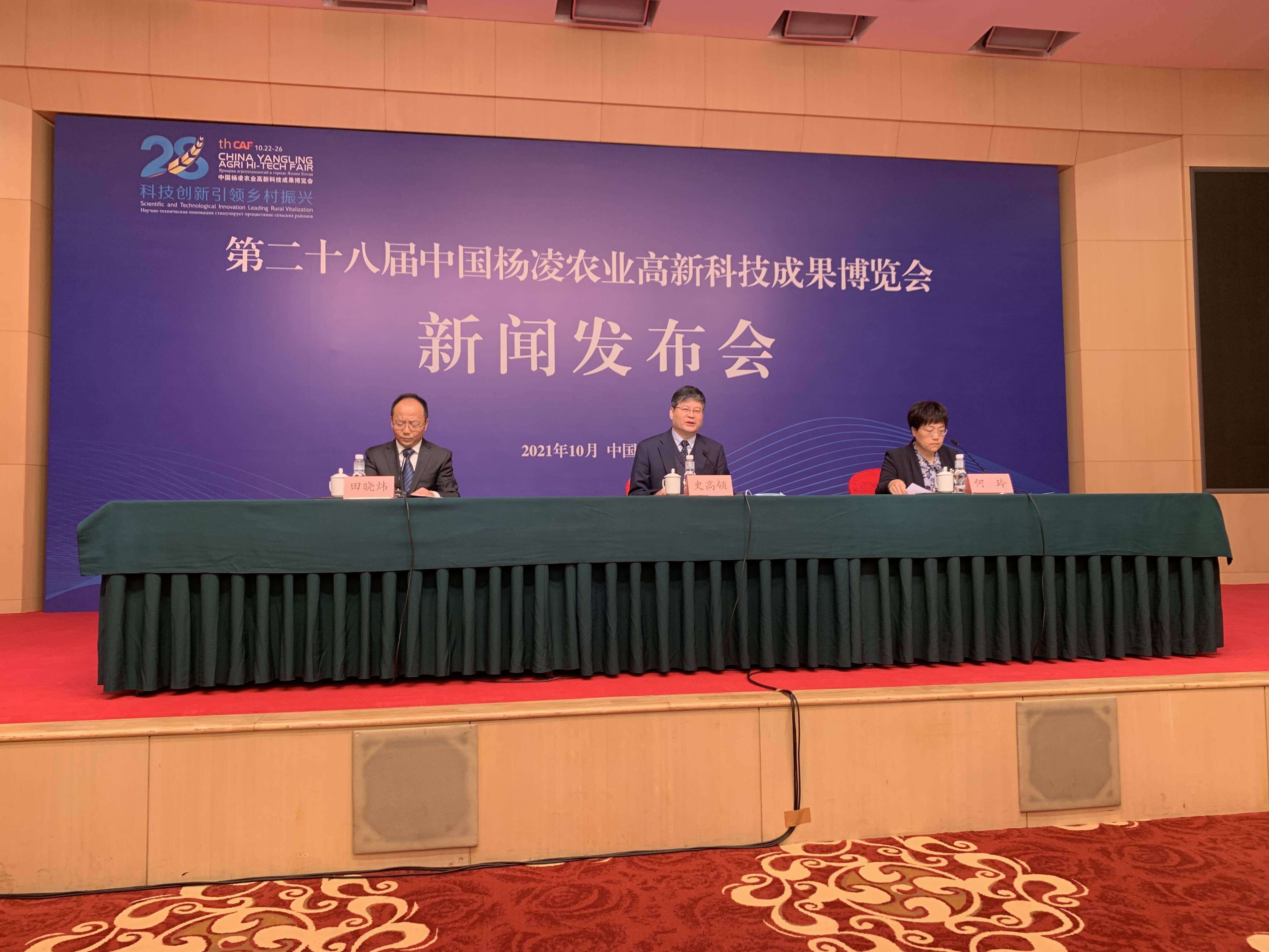 科技创新引领未来，一场别开生面的新闻发布会，科技创新引领未来，一场精彩纷呈的发布会