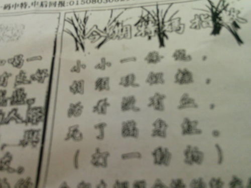 刘伯温一期一肖期期中，神秘预测与传奇人生，刘伯温传奇人生，一期一肖精准预测揭秘