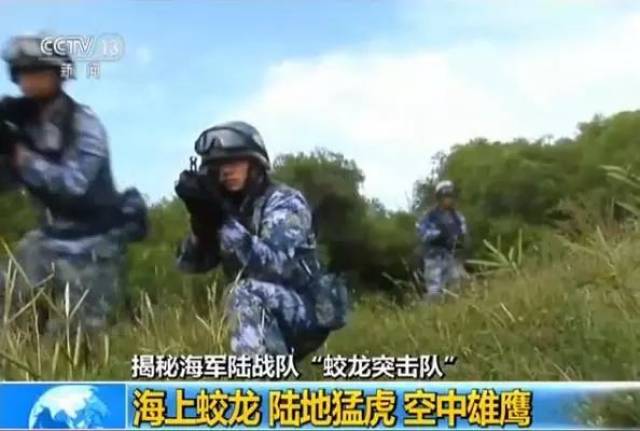 杨环杰蛟龙突击队，铁血团队的荣耀与传奇，杨环杰铁血突击队，荣耀与传奇的蛟龙团队
