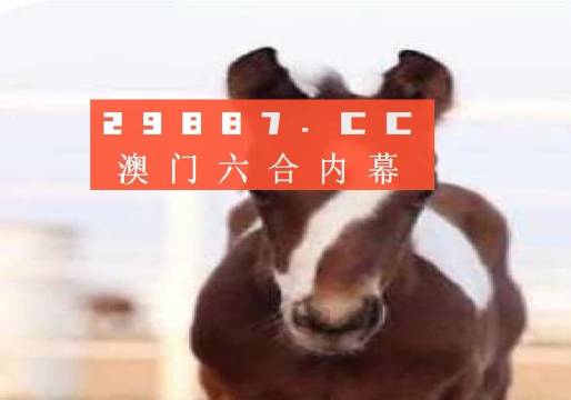 澳门一肖一码，揭秘期期精准的奥秘与真相探索，澳门一肖一码，揭秘期期精准的奥秘真相探索之旅