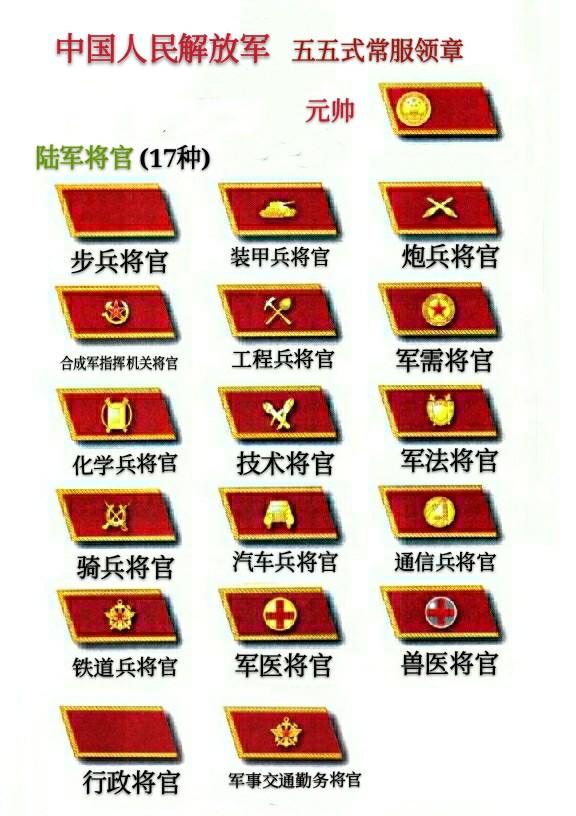 中国的军衔等级图片及其历史背景与发展,中国军衔等级图片,历史背景与发展概述