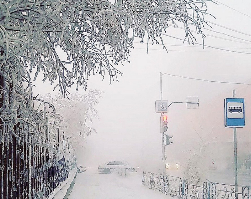 刘伯温一肖两码,神秘预言与传奇人生,刘伯温一肖两码,神秘预言背后的传奇人生