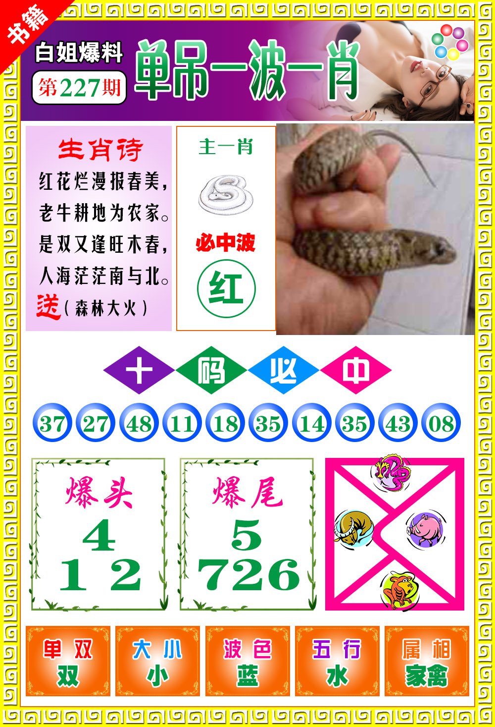 王中王免费一肖开奖，揭秘彩票背后的秘密，揭秘彩票背后的秘密，王中王免费一肖开奖探秘