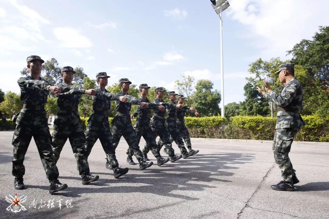 阅兵方阵的距离，荣耀与秩序的完美交融，阅兵方阵，荣耀与秩序的完美展现
