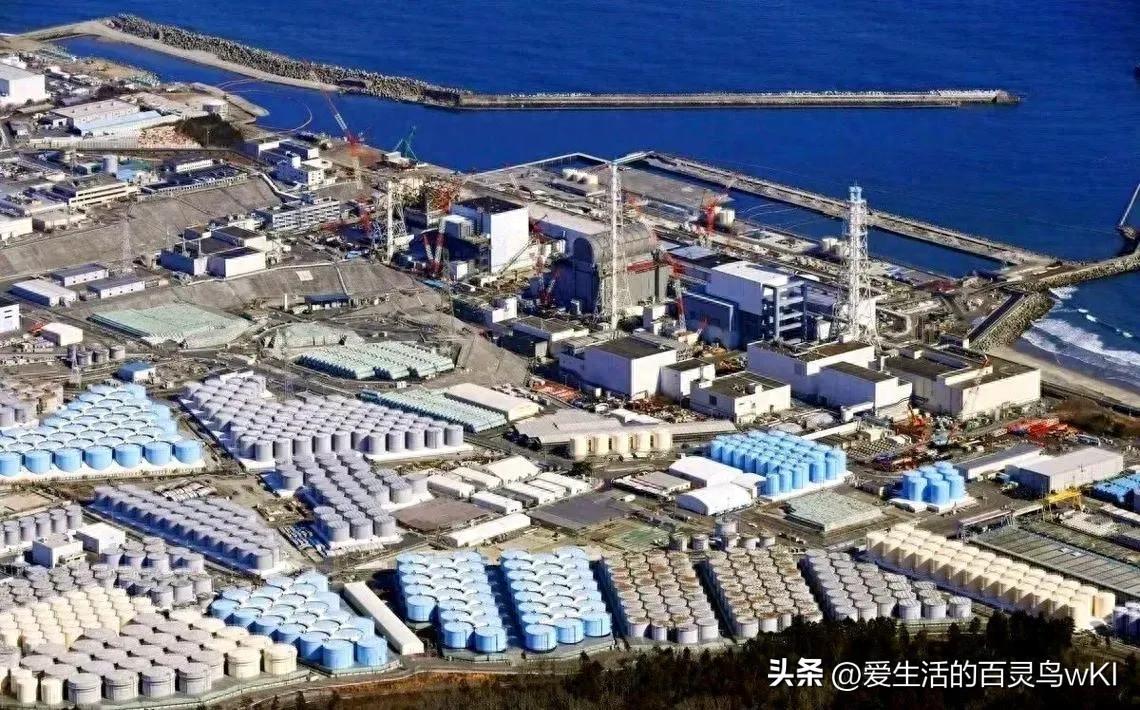 中国与西哈莫尼的关系，历史、现状与未来展望，中国与西哈莫尼，历史纽带、现状解读与未来展望