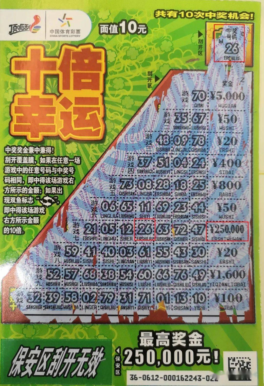 揭秘王中王财神平特一肖的神秘面纱，揭秘王中王财神平特一肖的神秘面纱，真相大揭秘