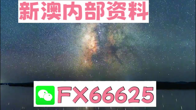 澳门天天彩免费资料大全，探索彩票文化的魅力与乐趣，澳门天天彩免费资料探索彩票文化的魅力与乐趣