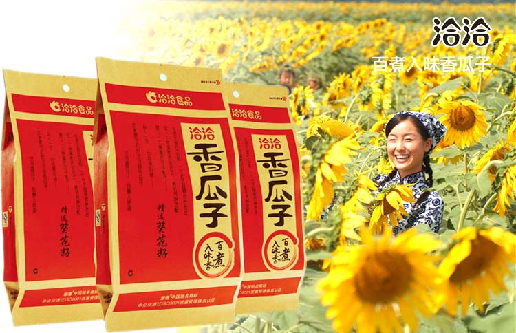 王中王平特一肖主一码，探索与解析，王中王平特一肖主一码解析探索