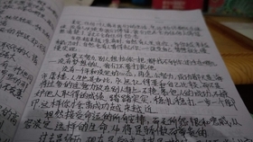 今日新闻摘抄，聚焦时事热点，解读最新动态，今日新闻聚焦，时事热点解读与最新动态摘要