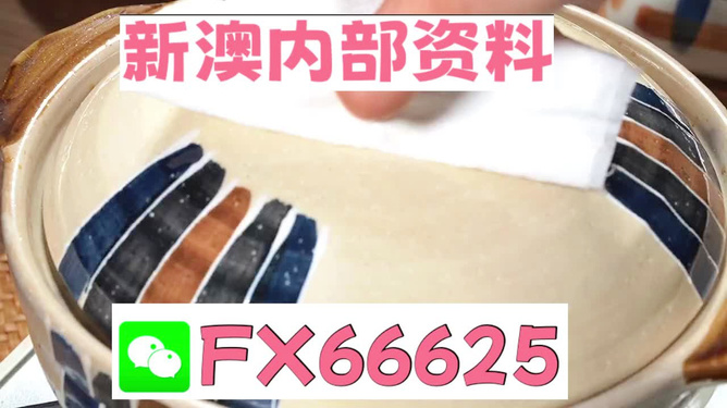 新澳精准资料免费提供的力量与价值，新澳精准资料免费提供的力量与价值解析
