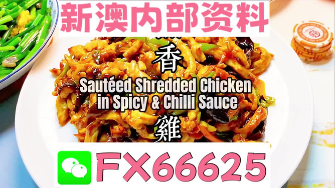 新奥彩资料免费提供，探索与机遇，新奥彩资料免费探索，机遇与挑战