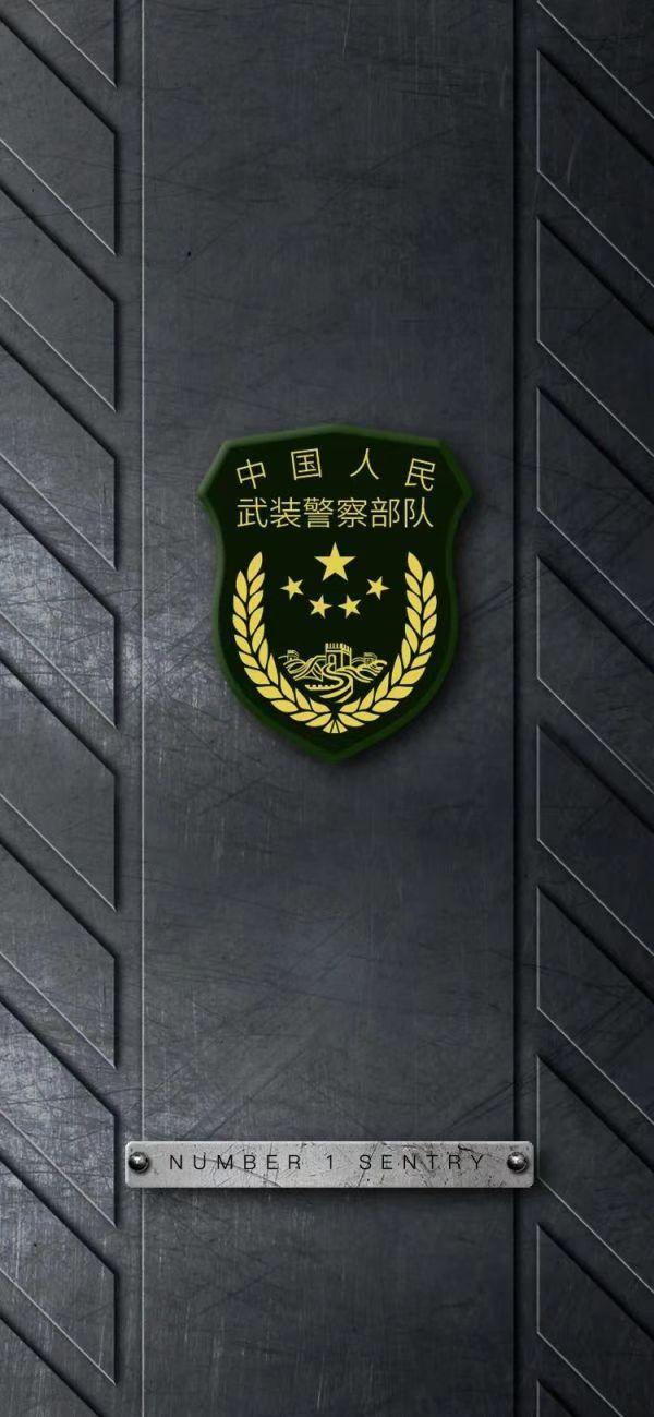 军种高清壁纸，展现荣耀与力量，军种高清壁纸，荣耀与力量的展现