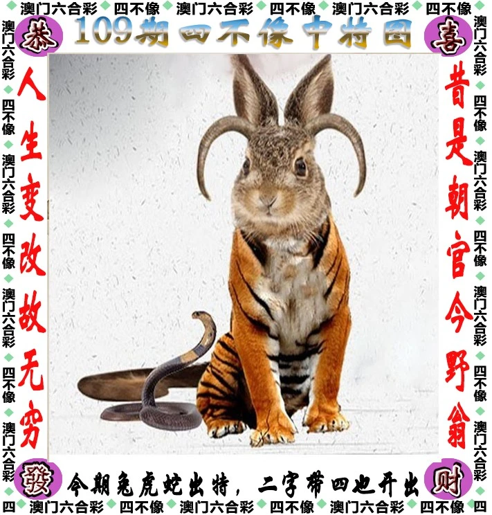 王中王必中四不像一肖——探寻神秘预测背后的故事，揭秘王中王必中四不像一肖的神秘预测背后的故事