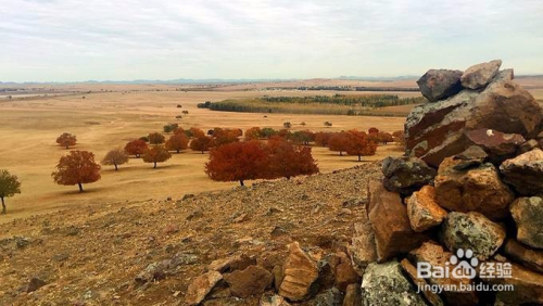 朱日和,旅游胜地还是军事禁区?能否去旅游?,朱日和,旅游胜地还是军事禁区?探访旅游可行性解析。