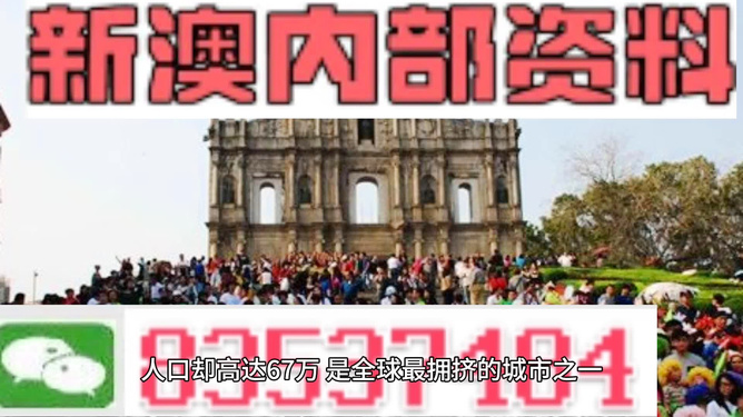 澳门资料大全正版免费，探索与启示（2025版），澳门资料大全正版免费探索指南，2025版启示录