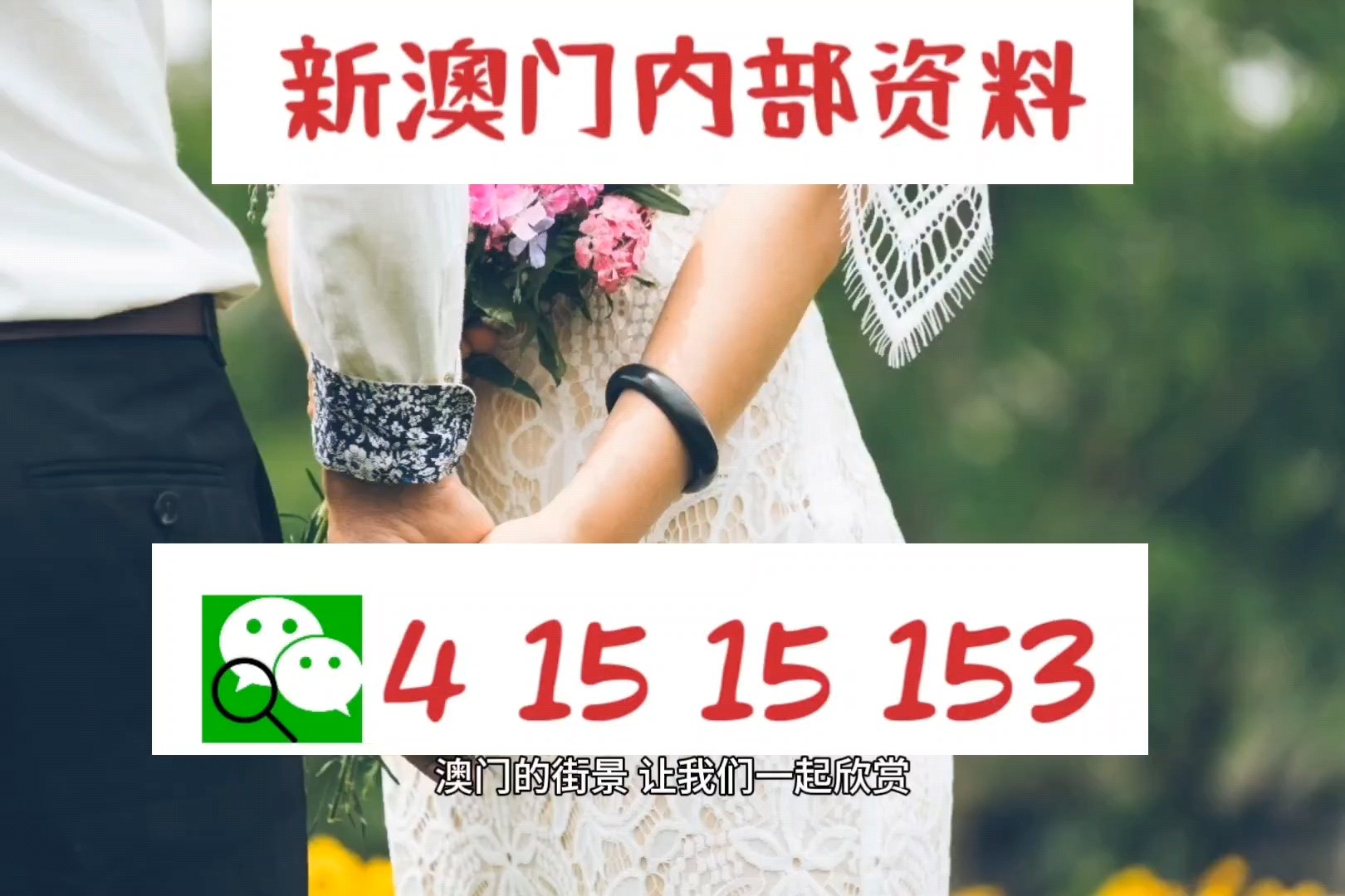新澳门精准24个码，探索与解析，新澳门精准24个码深度解析与探索