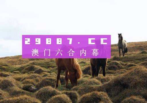 老澳门开奖结果2023年开奖记录查询，历史与现代的交融，老澳门开奖结果2023年开奖记录查询，历史与现代的交融风采展示