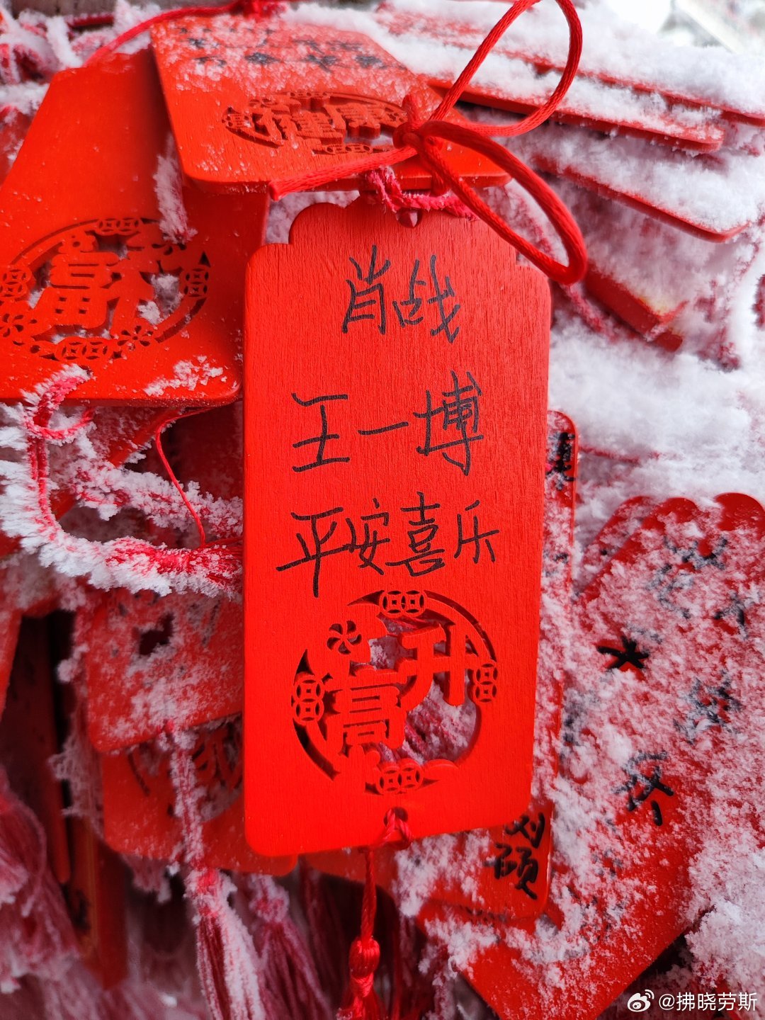 王中王平特一肖正版资料，深度解析与探讨，王中王平特一肖正版资料深度解析与探讨专题