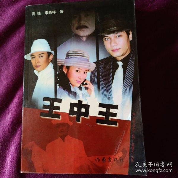 王中王资料解析与一肖中特管探讨，王中王资料深度解析与一肖特管探讨
