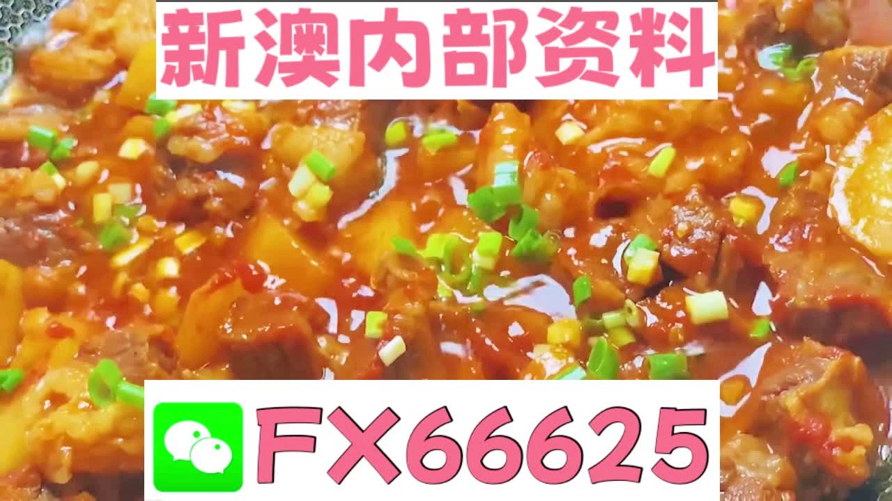 新奥天天免费资料大全正版优势，全面解析与深度体验，新奥天天免费资料正版优势深度解析与体验指南