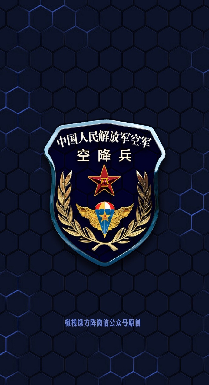 空降兵臂章，荣耀的象征与使命的承载，空降兵臂章，荣耀使命的象征