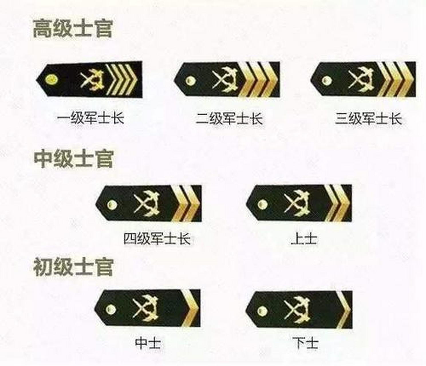 士官制度历史，演变与发展，士官制度的演变与发展历程