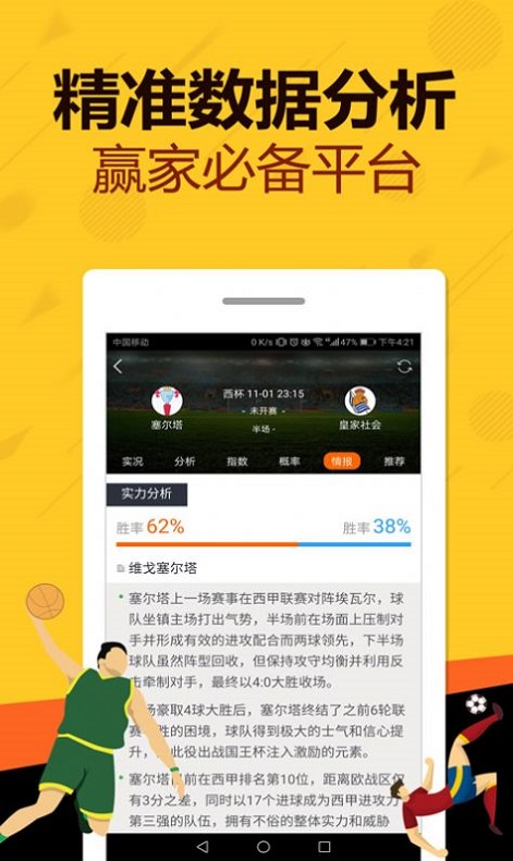 王中王一肖中特全年资料深度解析，王中王一肖中特全年资料深度剖析与解读