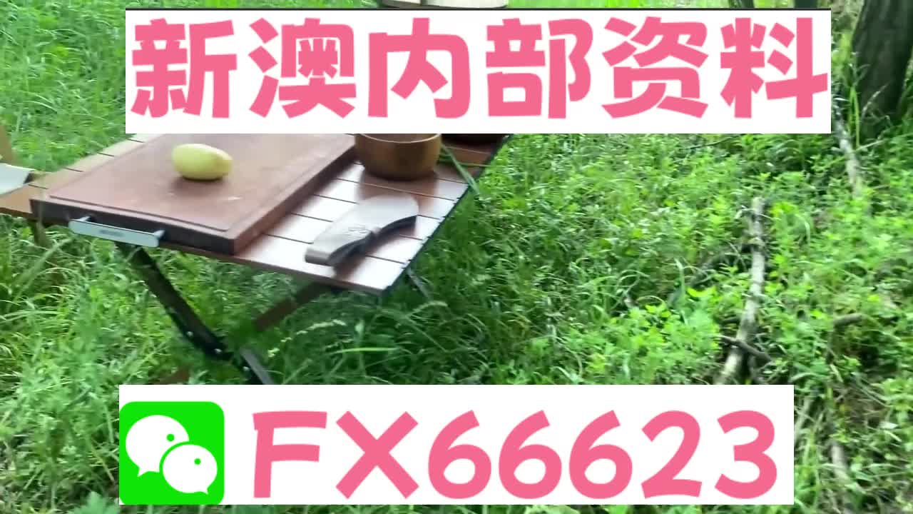 新奥天天精准资料大全，深度解析与实际应用，新奥天天精准资料大全，深度解析及实际应用指南