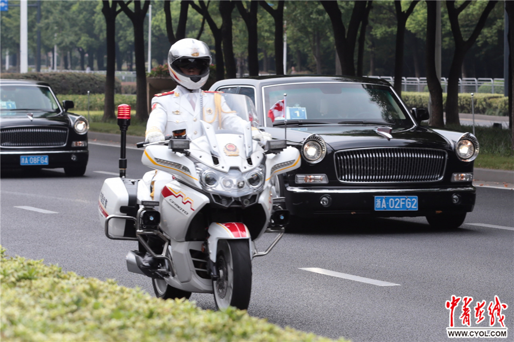 国宾护卫队，警察还是武警？解析其身份与职责，国宾护卫队的身份与职责解析，警察还是武警？