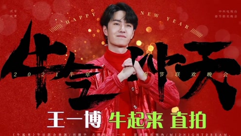 探索王中王一肖中特的独特魅力与深层含义，王中王一肖中特的独特魅力与深层内涵探索