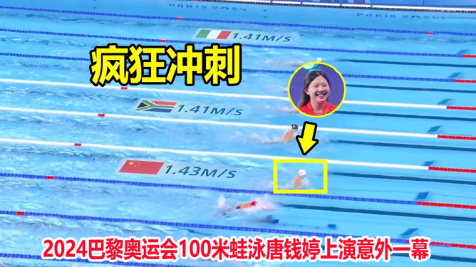 王中王95期指一生肖，探寻背后的故事与意义，王中王95期生肖背后的故事与意义探寻