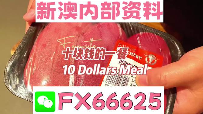 新澳2025年精准资料概览，新澳2025年精准资料全景概览