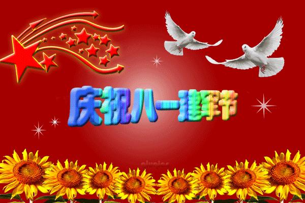 八一高清图片的魅力与影响，八一高清图片的魅力及深远影响力