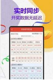 王中王2469平特一肖，探寻背后的故事与意义，王中王2469平特一肖，背后的故事与意义探寻