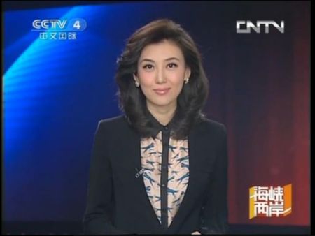 跨越文化与语言的桥梁