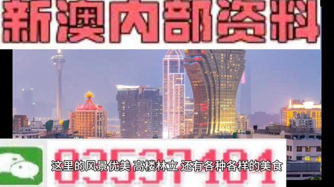 新澳门免费资料大全精准版，探索与解读，新澳门免费资料大全精准版，深度探索与解读