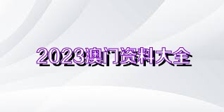 澳门资料大全正版资料下载，探索与启示，澳门正版资料大全，探索与启示的指南