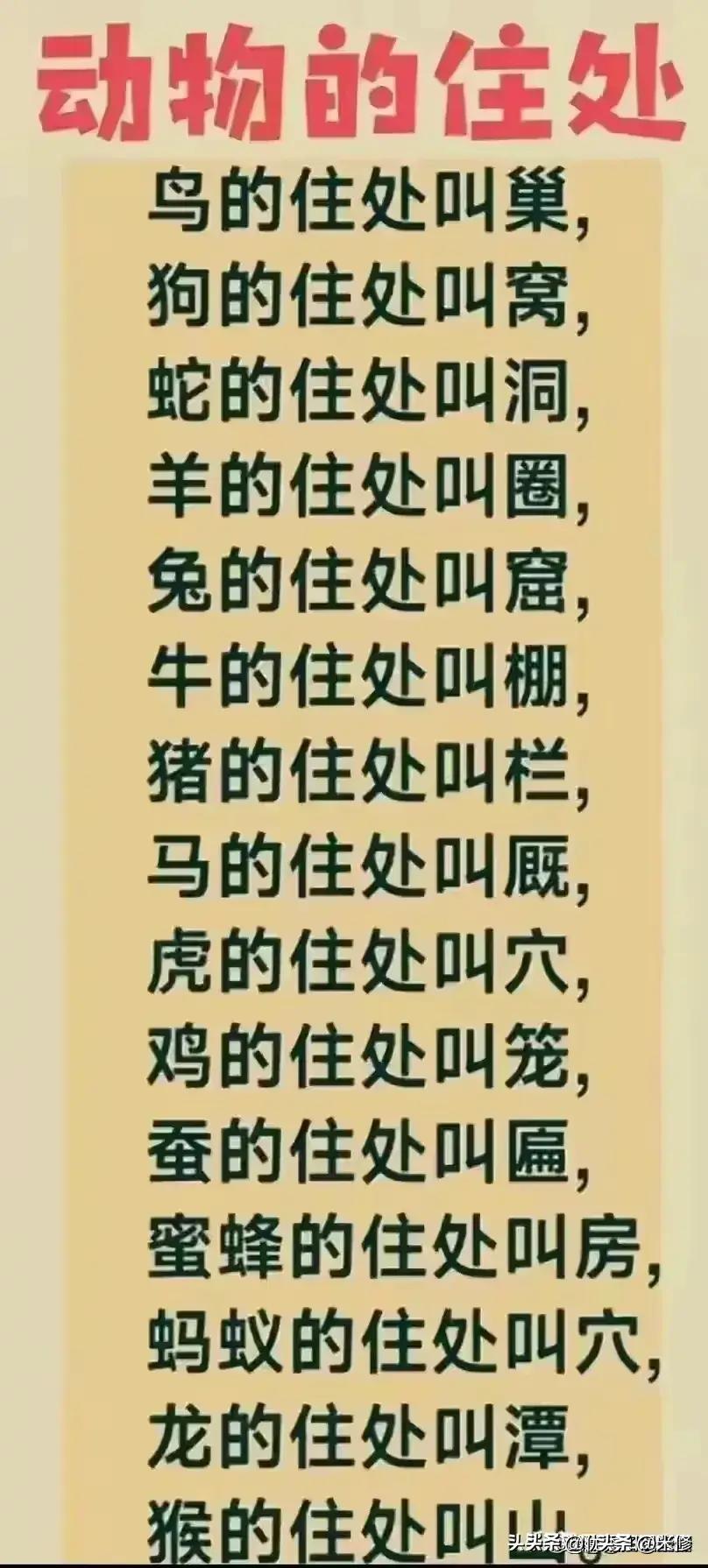 警察学院排名及其影响力探讨，警察学院排名与影响力深度探讨