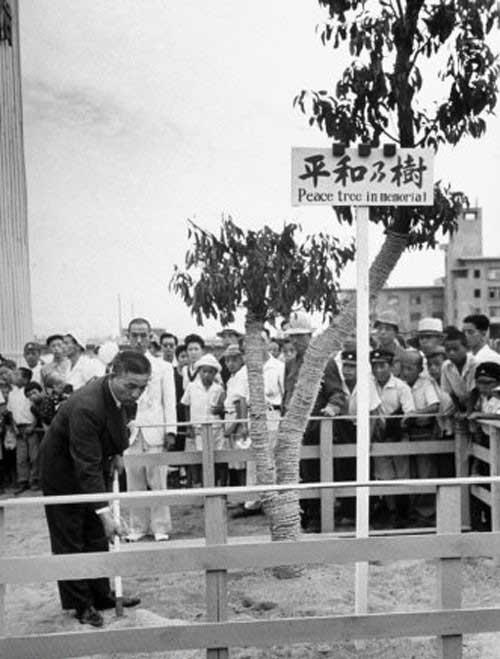 揭秘神秘的九开头部队代号背后的故事，揭秘九开头部队代号背后的神秘故事