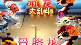 王中王生肖传奇