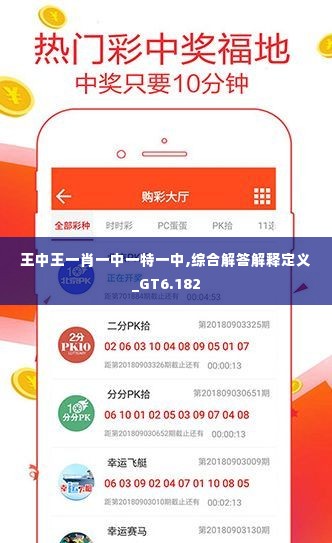 王中王开奖结果一肖中，揭秘彩票背后的神秘面纱，揭秘彩票背后的神秘面纱，王中王开奖结果一肖中揭晓