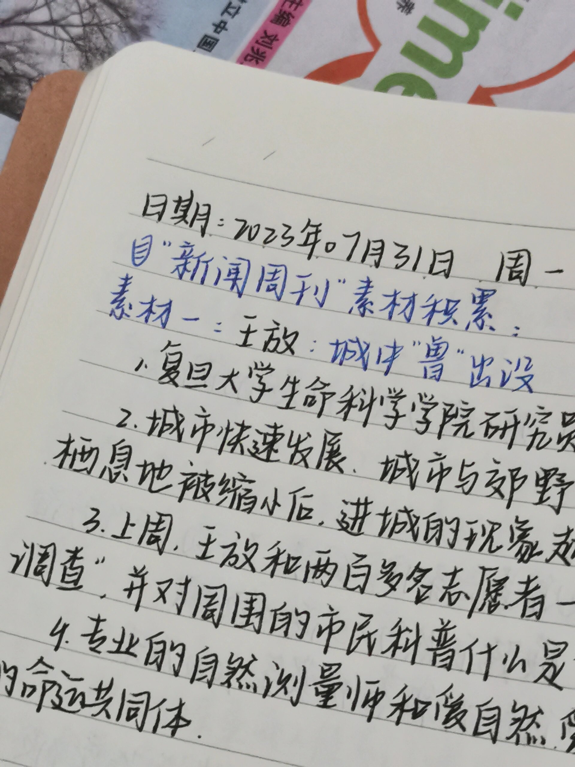 今日新闻摘抄，十条国际新闻，今日国际新闻摘要，十条重要国际新闻速递