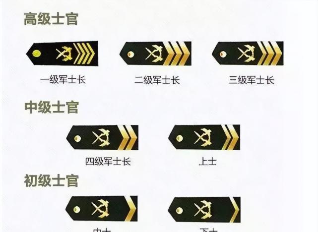 七级士官军衔，荣誉与责任的象征，七级士官军衔，荣誉与责任的标志