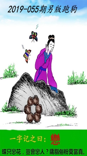 探索精准跑狗图，数字组合的魅力与跑狗图的奥秘，精准跑狗图揭秘，数字组合的魅力和奥秘探索