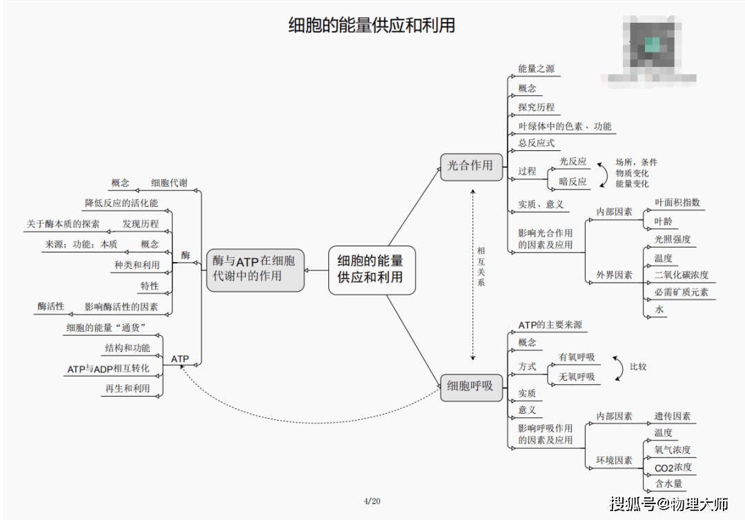 神算刘伯温一肖三期必开