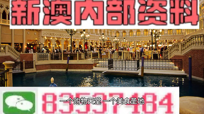澳门内部资料精准大全2023，深度探索与预测分析，澳门内部资料深度探索与预测分析2023